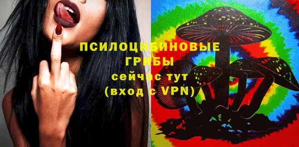 спиды Алексеевка