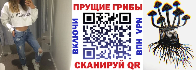 Галлюциногенные грибы Cubensis  kraken как зайти  Дятьково  дарнет шоп 