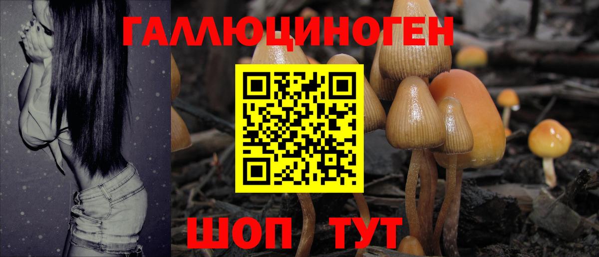 Галлюциногенные грибы Magic Shrooms Дятьково