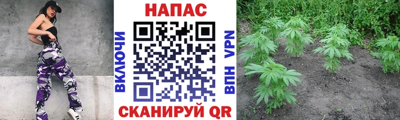 Каннабис Ganja Дятьково
